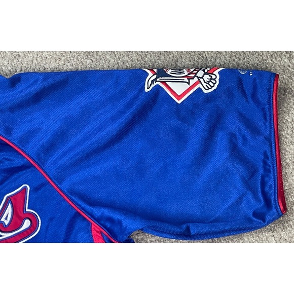 True Fan MLB Genuine‎ Merchandise Embroidered Chicago Cubs Baseball Jersey Large - Picture 6 of 14